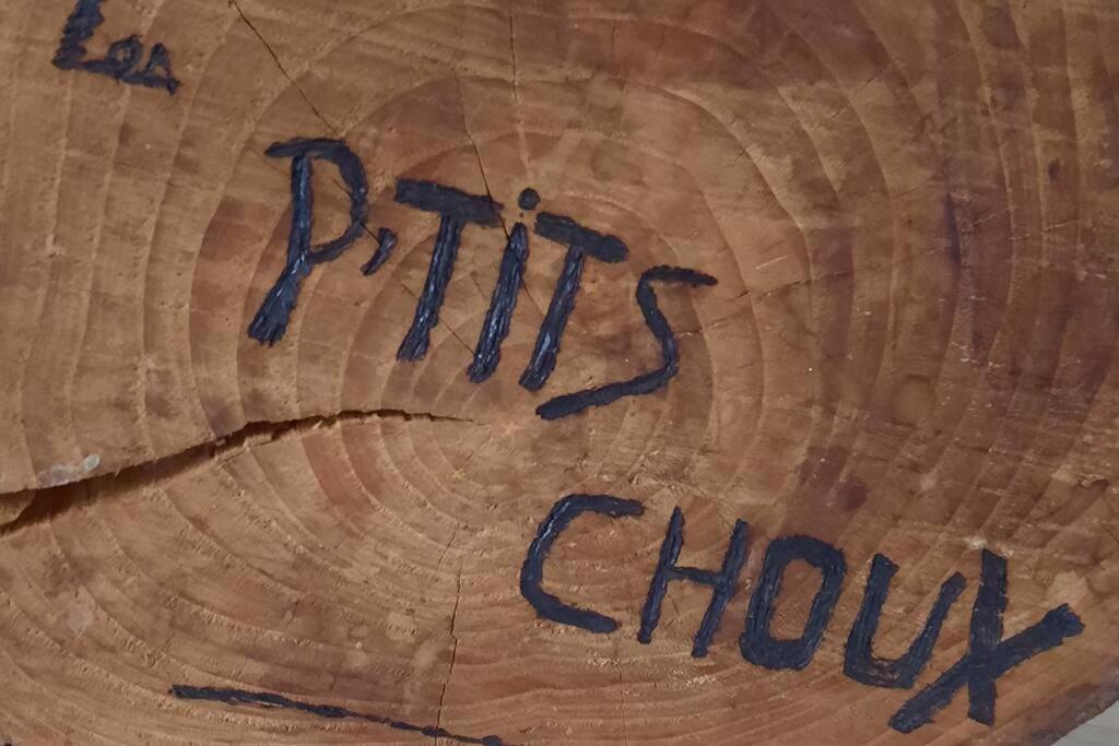 Gite Les Ptits Choux Saint-Quentin-Lamotte-Croix-au-Bailly 외부 사진